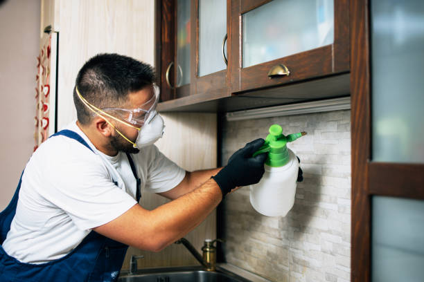 Trusted Grangeville, ID Pest Control Experts