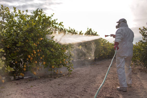 Best Affordable Pest Control Services  in Grangeville, ID