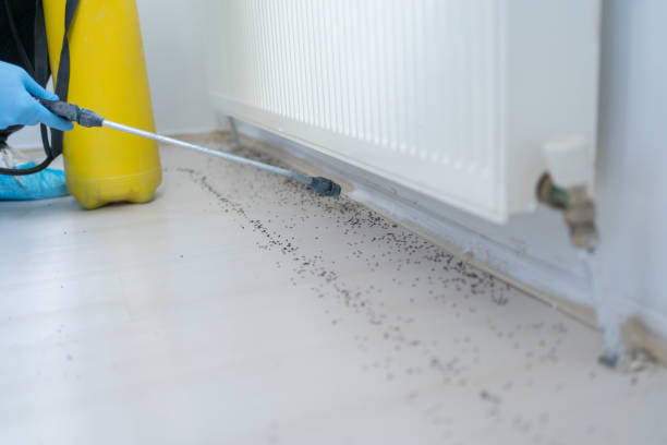 Best Best Pest Control Companies  in Grangeville, ID