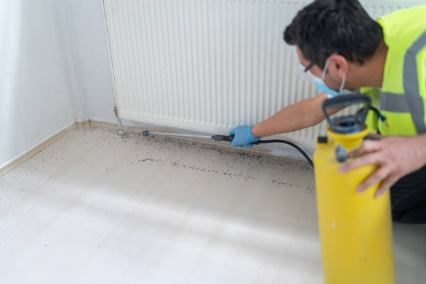 Best Emergency Pest Control  in Grangeville, ID
